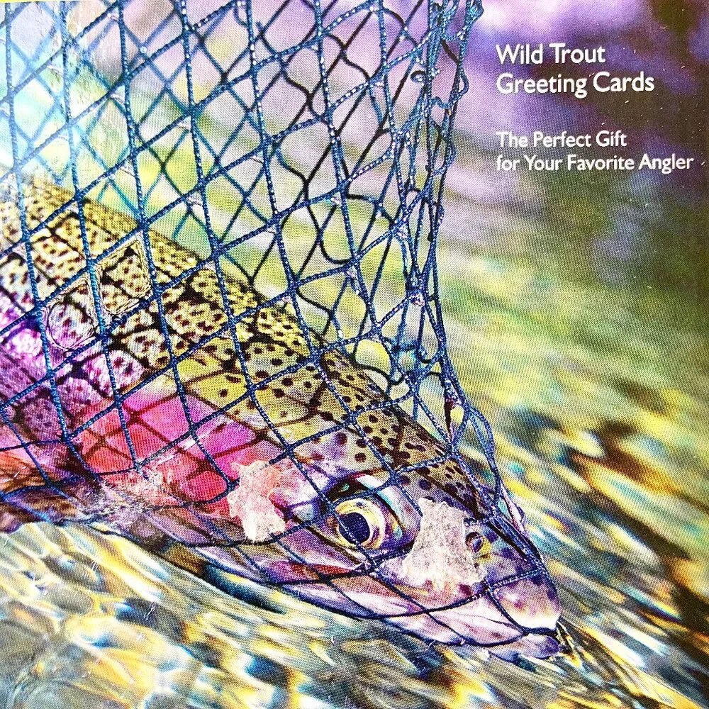 WILD TROUT Stationery Note Greeting Cards Blank 12 Cards + Envelopes Box